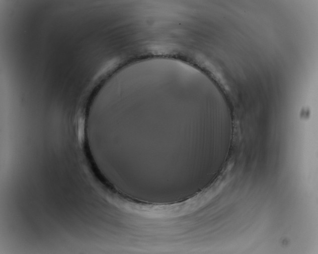 X0000102490019200808221741