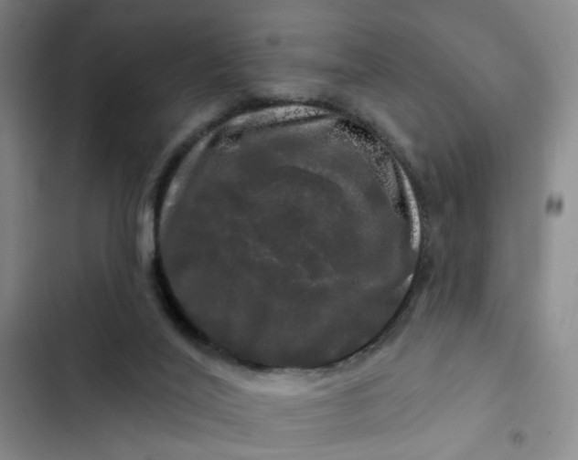 X0000102490020200808221741