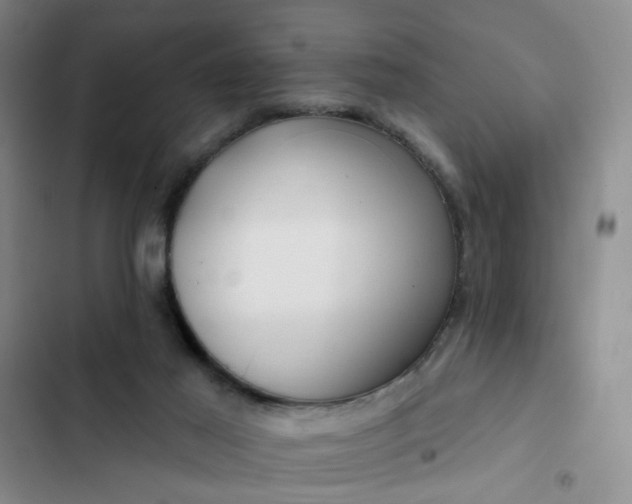 X0000102490021200808221741