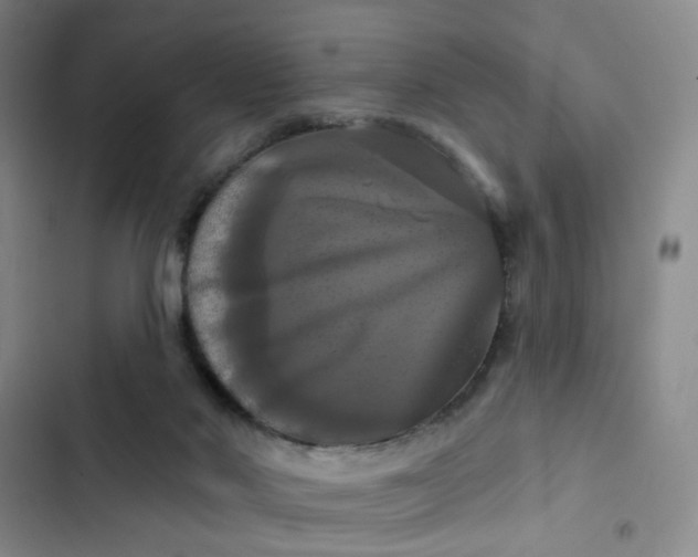 X0000102490022200808221741