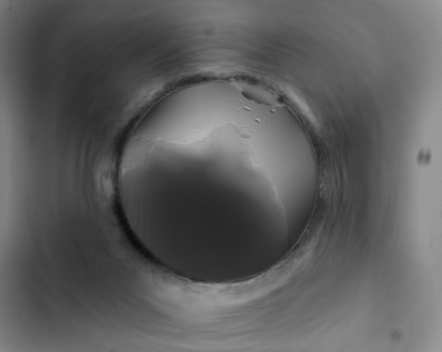 X0000102490023200808221741