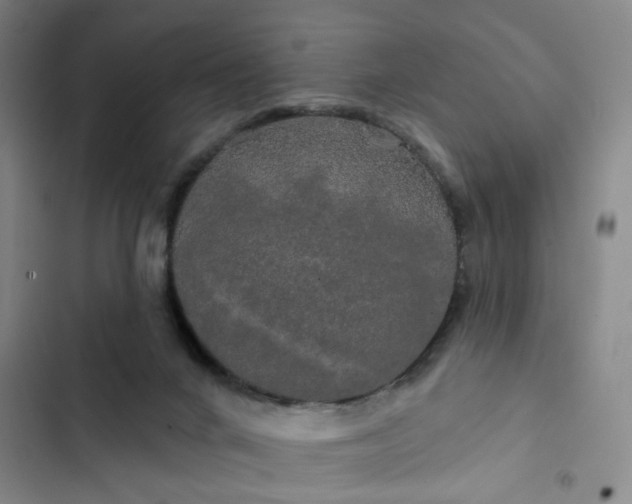 X0000102490024200808221741