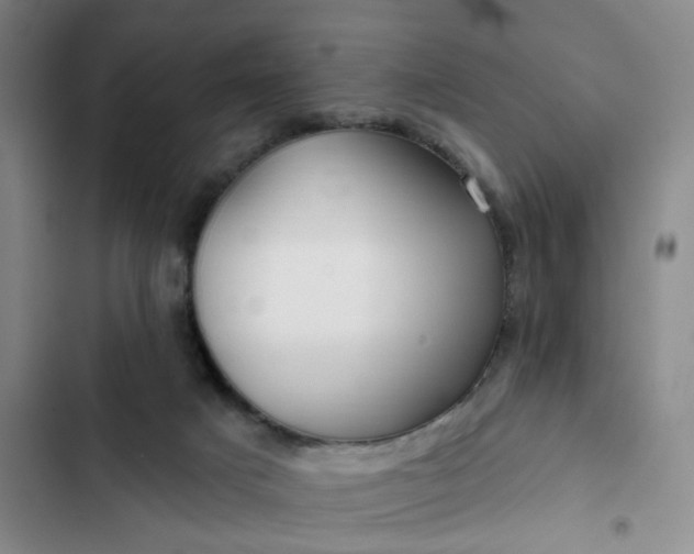 X0000102490025200808221741