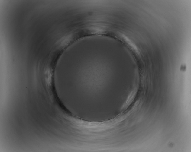 X0000102490026200808221741