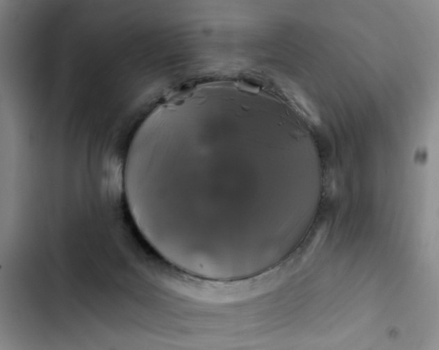 X0000102490027200808221741