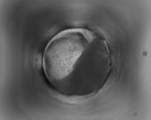 X0000102490028200808221741