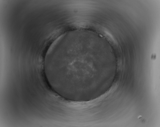 X0000102490029200808221741