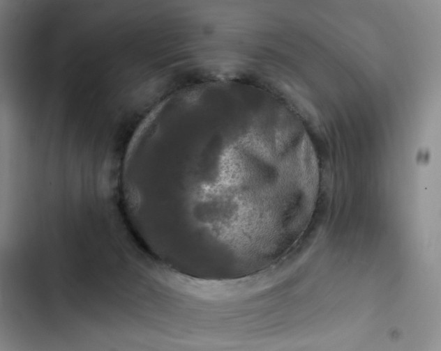 X0000102490030200808221741