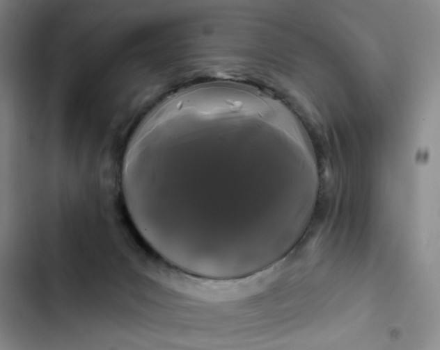 X0000102490031200808221741