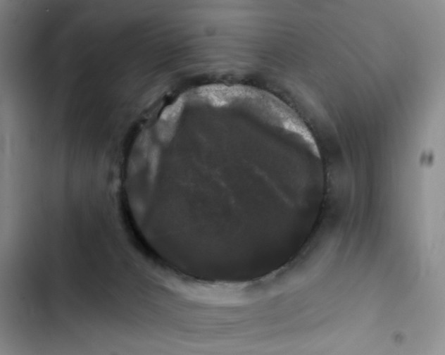 X0000102490032200808221741