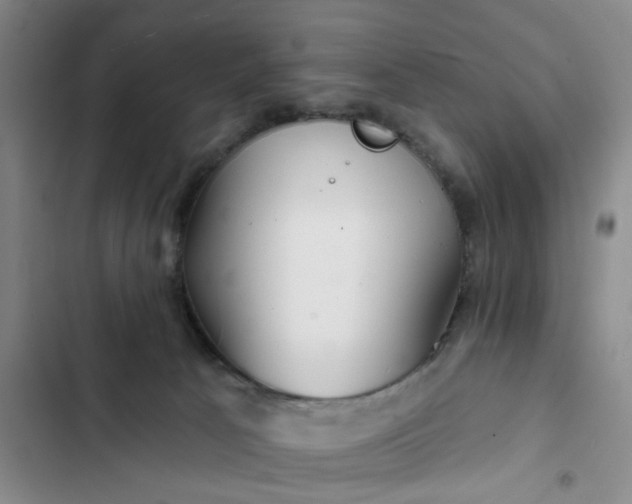 X0000102490033200808221741