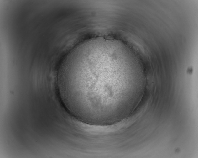 X0000102490034200808221741