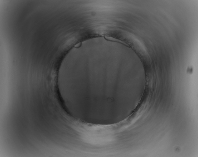 X0000102490036200808221741