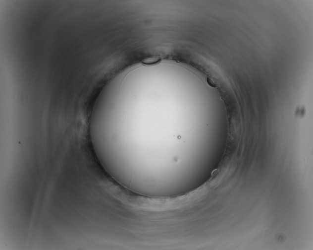 X0000102490037200808221741