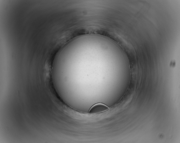 X0000102490038200808221741