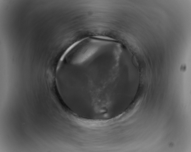 X0000102490040200808221740