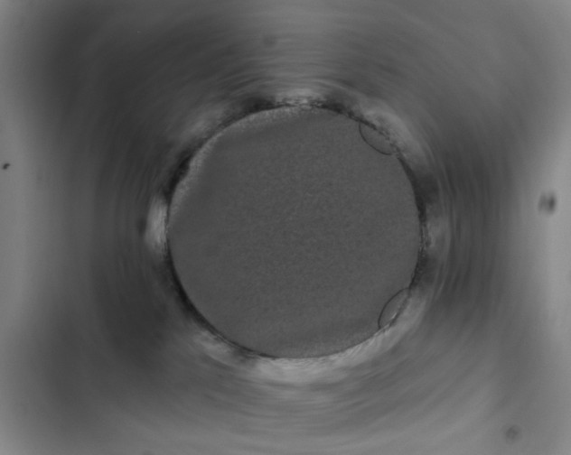 X0000102490041200808221740