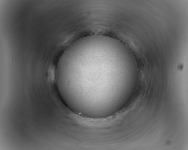 X0000102490042200808221740