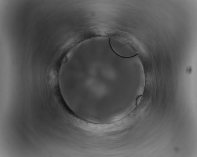 X0000102490043200808221740