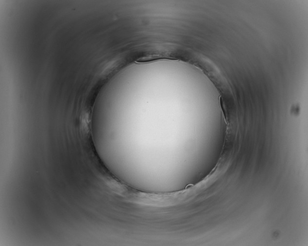 X0000102490045200808221740