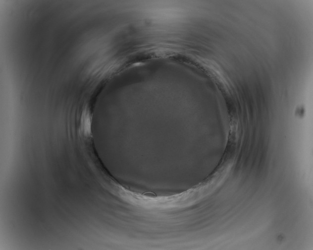 X0000102490046200808221740