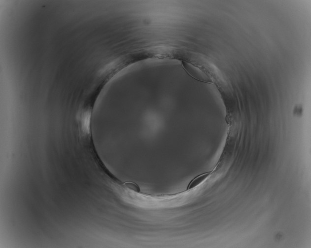 X0000102490047200808221740