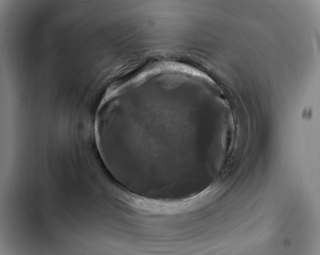 X0000102490048200808221740