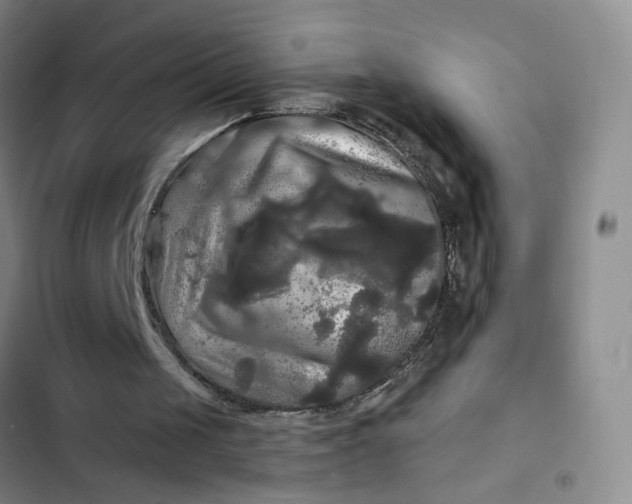 X0000102490049200808221740