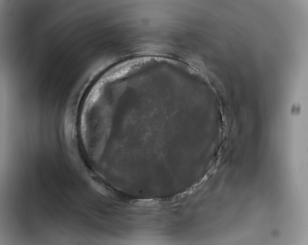 X0000102490050200808221740