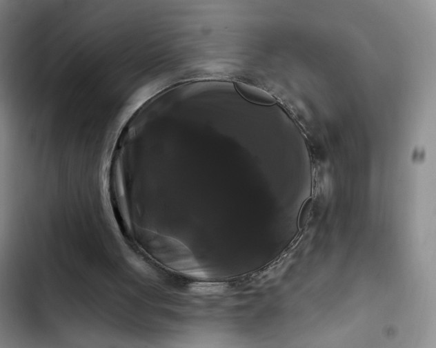 X0000102490051200808221740