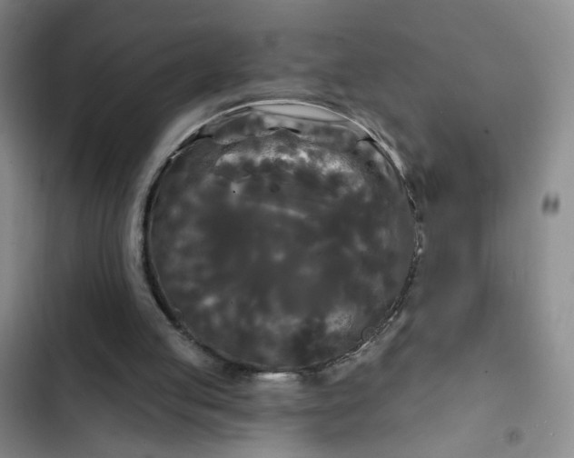 X0000102490053200808221740