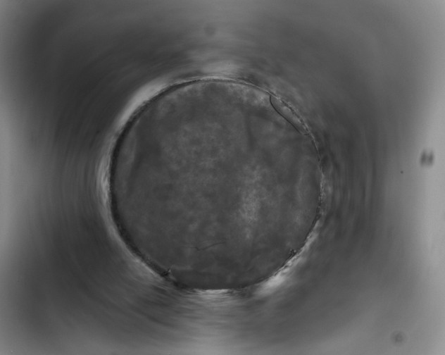 X0000102490054200808221740