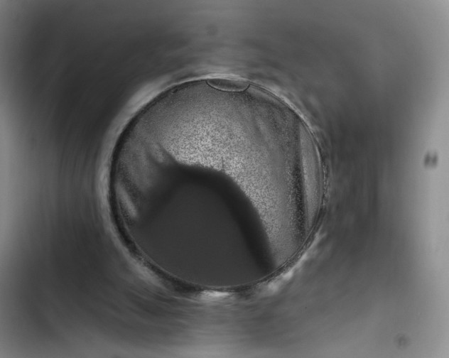 X0000102490055200808221740