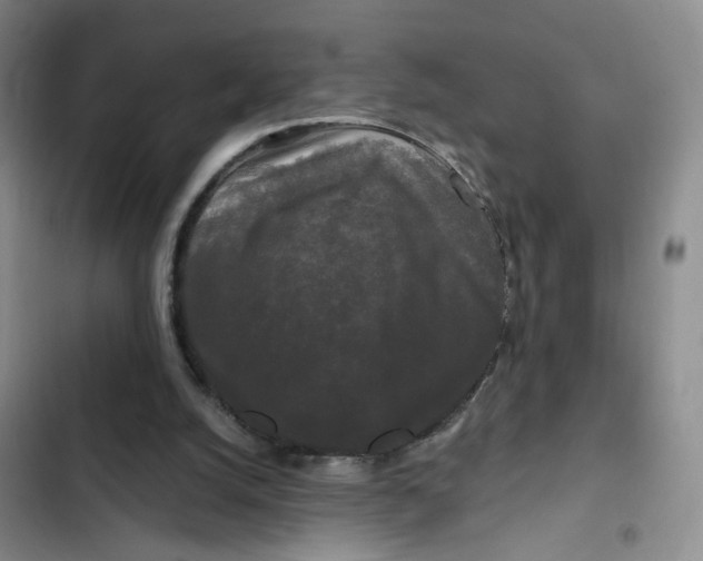 X0000102490056200808221740