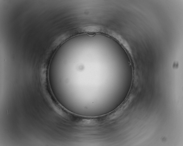 X0000102490057200808221740