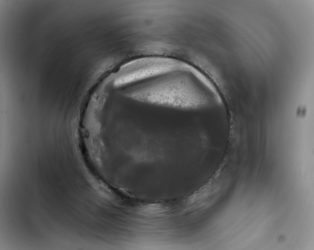 X0000102490058200808221740