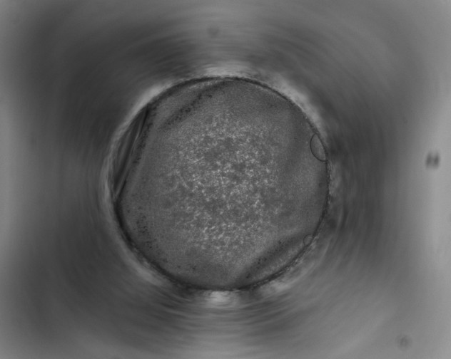 X0000102490060200808221740