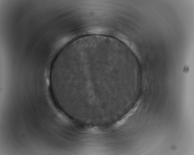 X0000102490062200808221740