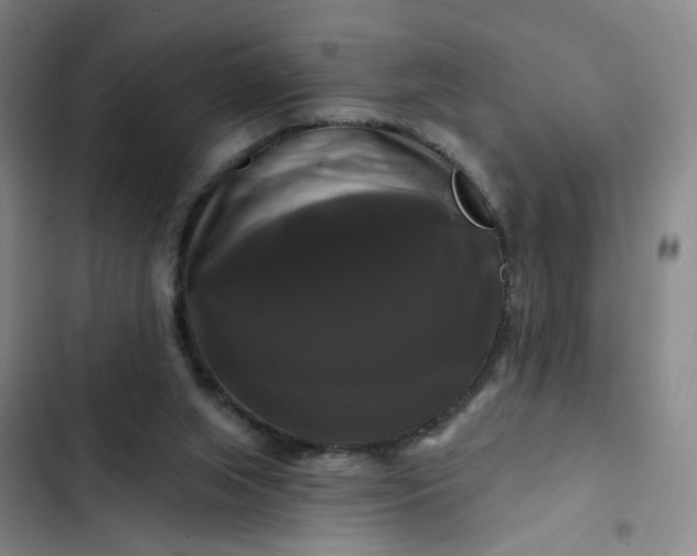 X0000102490063200808221740