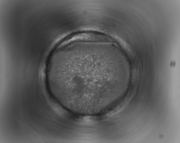 X0000102490064200808221740