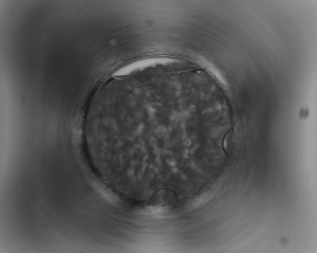 X0000102490065200808221740