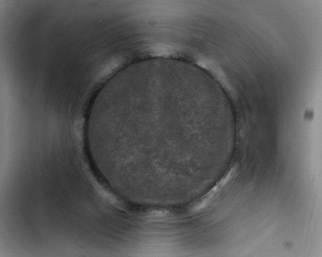 X0000102490066200808221740