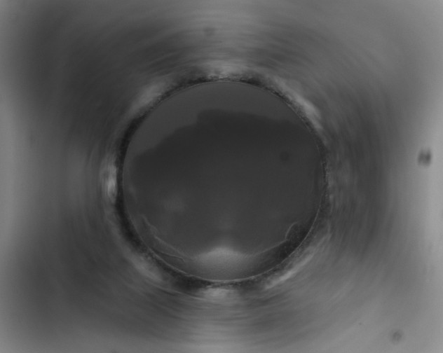 X0000102490067200808221740