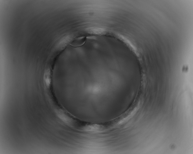 X0000102490069200808221740