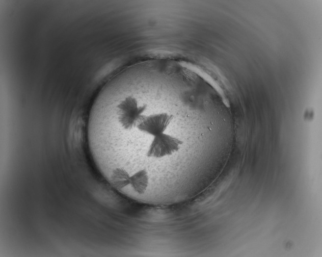 X0000102490071200808221740