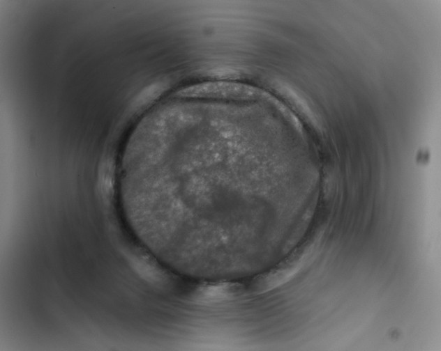 X0000102490072200808221740