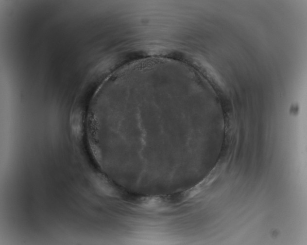 X0000102490074200808221740