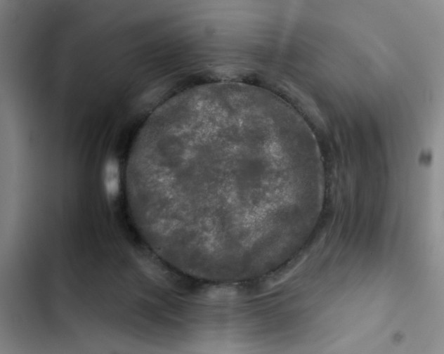 X0000102490075200808221740