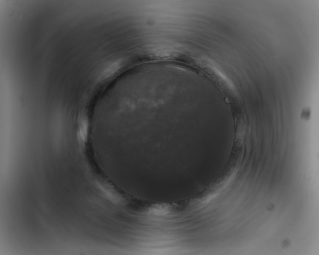 X0000102490076200808221740