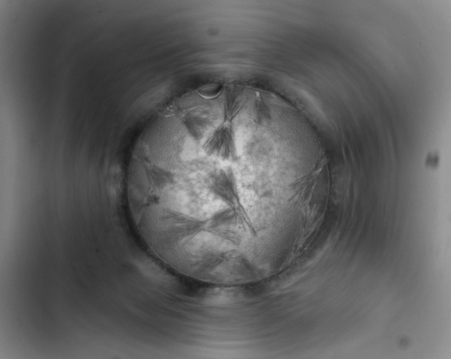 X0000102490077200808221740